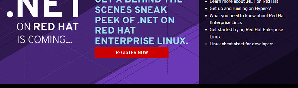 Red Hatが開発者向け無料サブスクリプションを提供