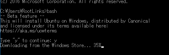 Windows 10 Insider Preview Build 14316でbashを使ってみる